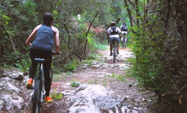 Cycling Tour
