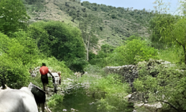 jaipur village
