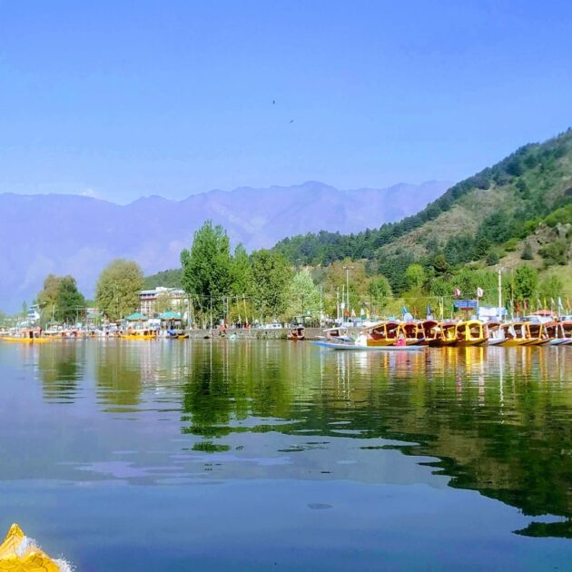 srinagar cycling day tour