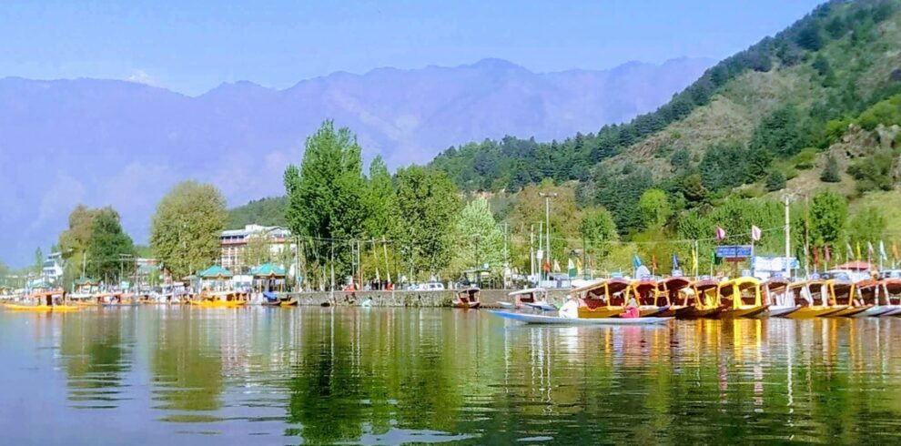 srinagar cycling day tour