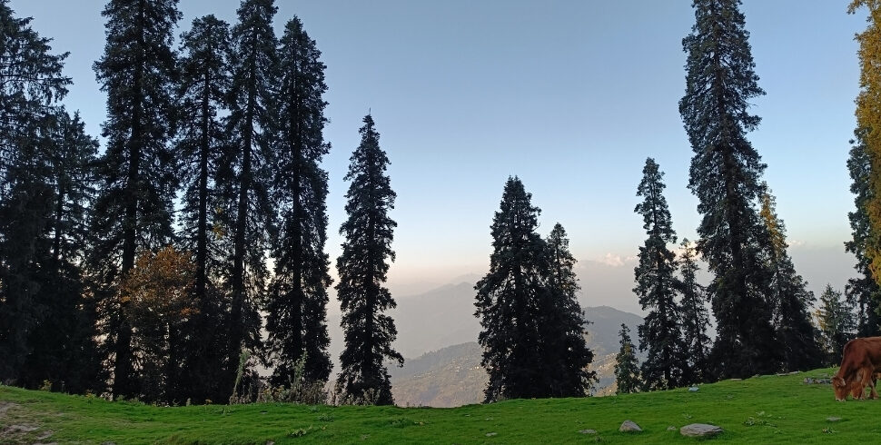 Himachal Bicycling Adventure (Mandi -> Shimla Crossing Jalori Pass))