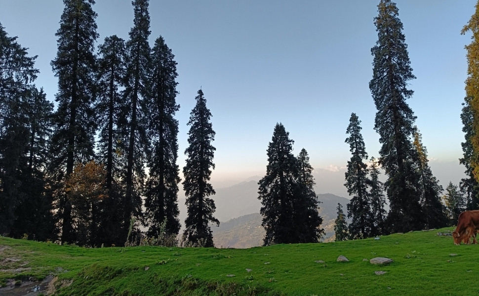 Himachal Bicycling Adventure (Mandi -> Shimla Crossing Jalori Pass))