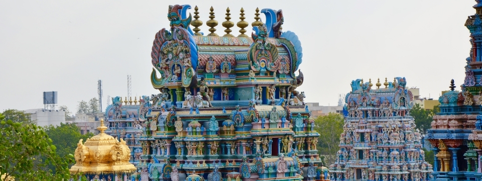 Jagannath Rath Yatra-Puri-Odisha