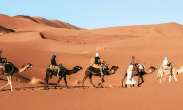 camel safari in bikaner