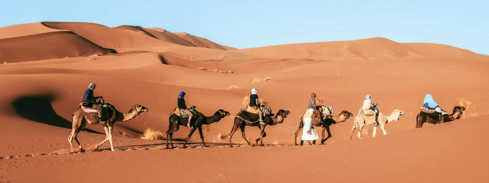 camel safari in bikaner