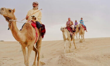 camel safari