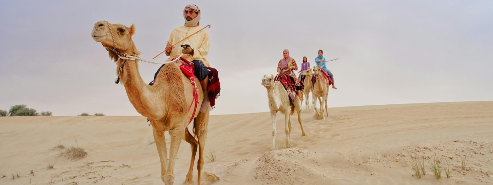 jodhpur camel safari