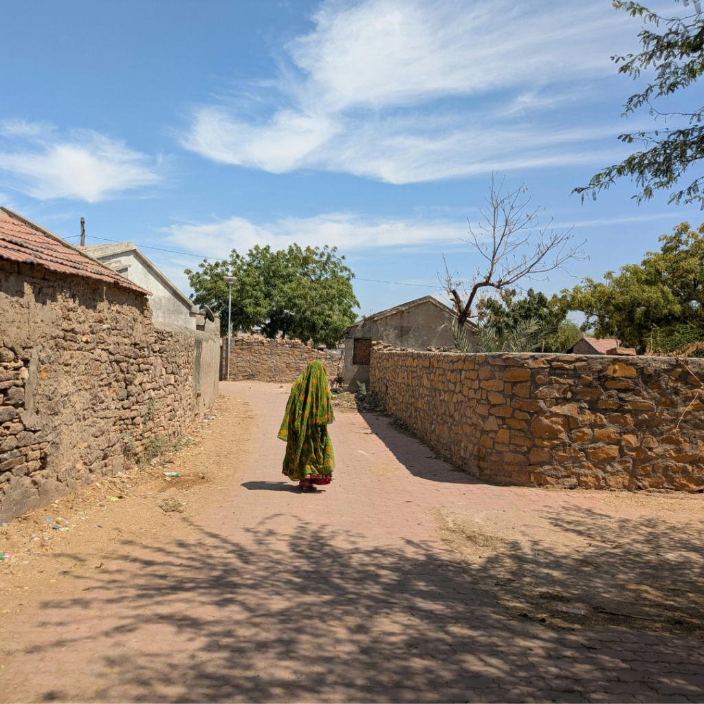 udaipur village