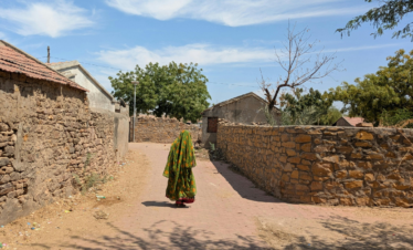 udaipur village