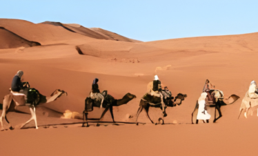 Camel safari in Bikaner