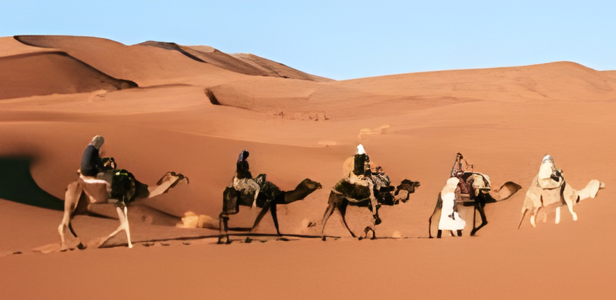 Camel safari in Bikaner