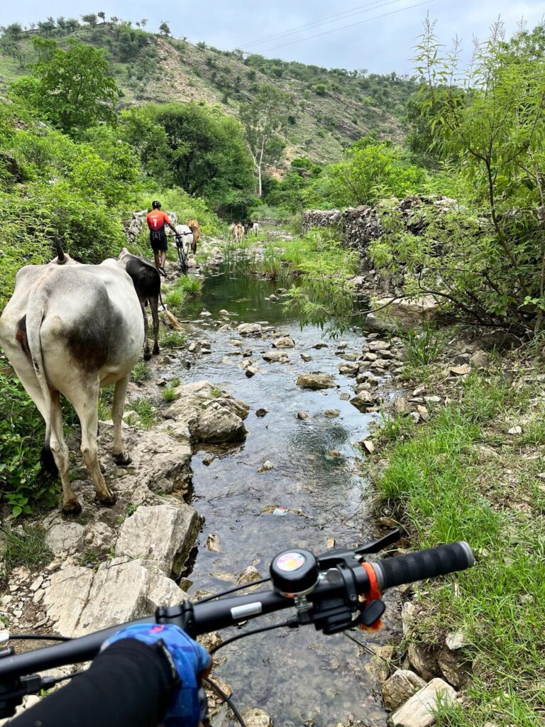 Jaipur village safari