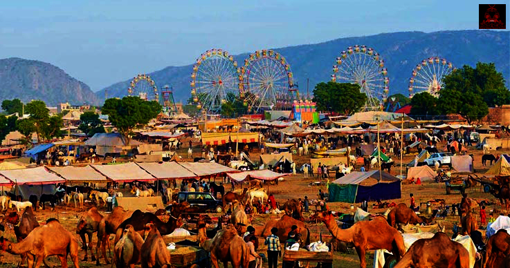 pushkar mela