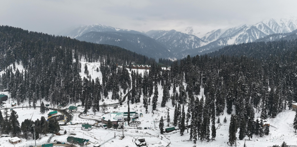 Gulmarg Alpine Camping Escape