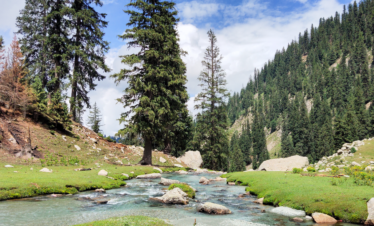 Pahalgam Riverside Nature Camping Tour