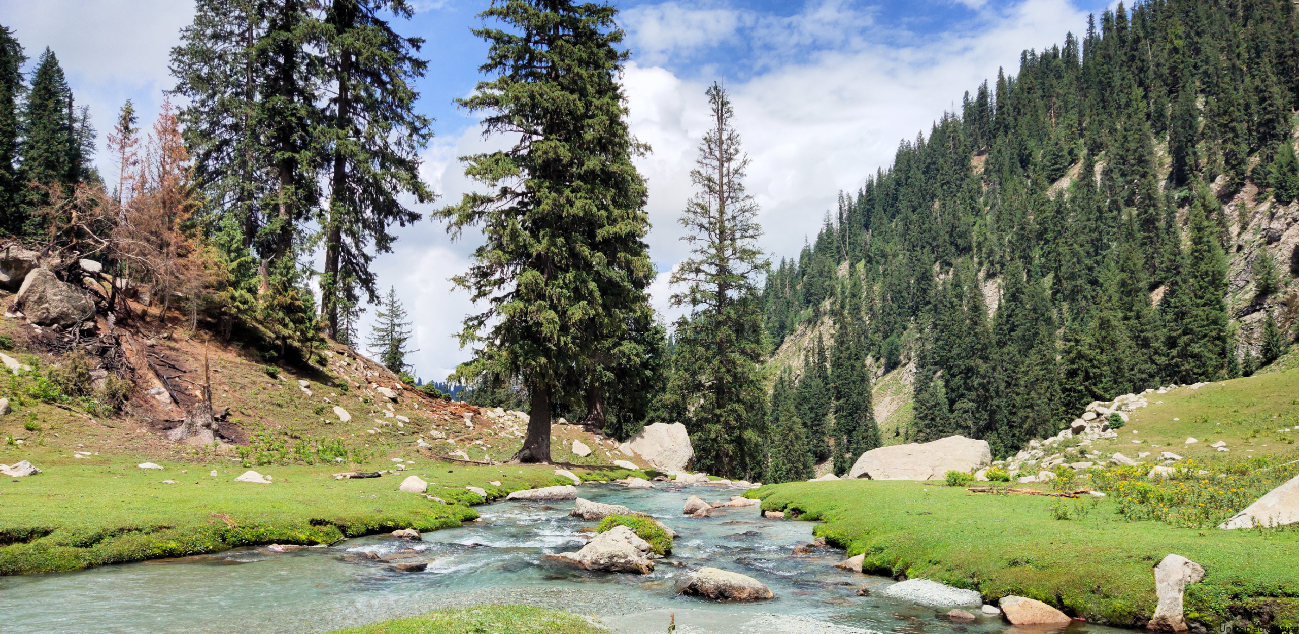 Pahalgam Riverside Nature Camping Tour