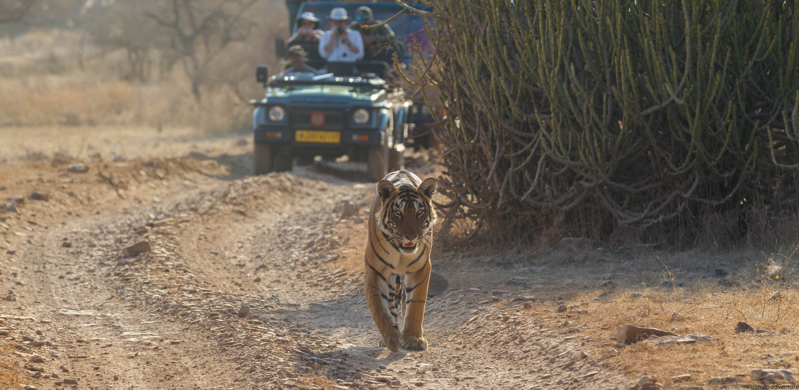 Ranthambore Forest Hiking Adventure