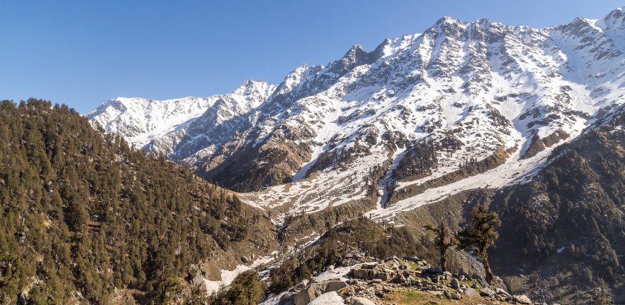 Triund Trek & Camping Tour McLeod Ganj