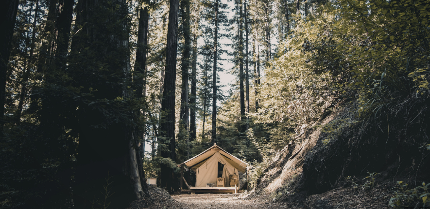 Kasol Riverside Camping & Nature Escape